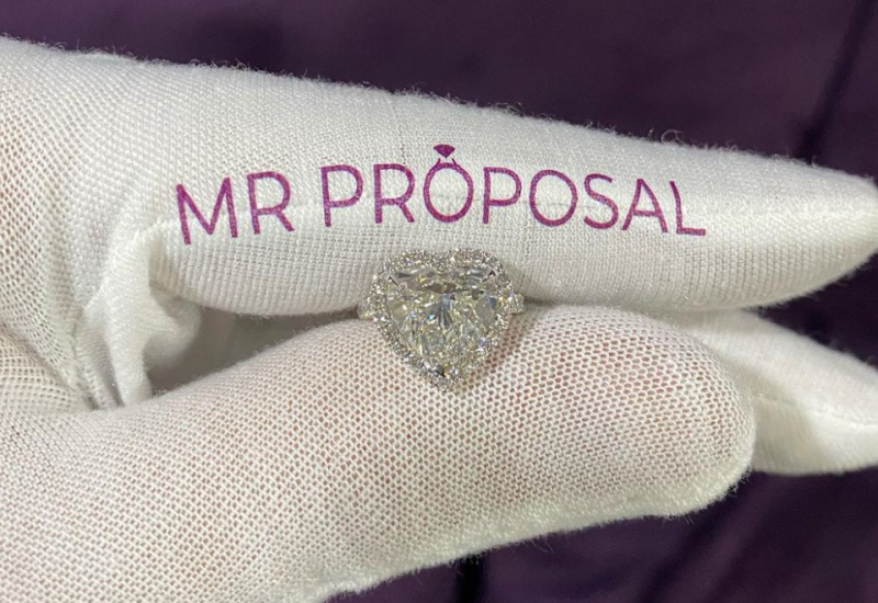 Mr Proposal